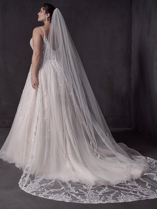 Veil longer than clearance dress